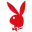 zz_bunny