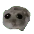 sadHamster