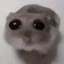 worldssmallestviolin