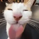 SILLY