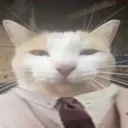 PROFESSIONAL