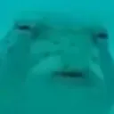 emoji_6