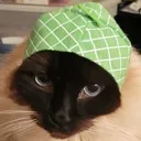 charliemelon