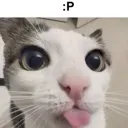 p_