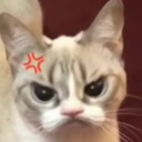 SG_nojao Discord emoji