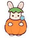 25620pumpkinbunny