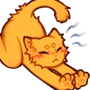 3r_kittystretch