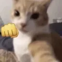 bump bump