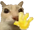 1278530659933225103