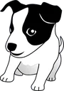 pup2
