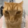 juh