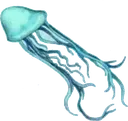 JellyFish