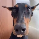 brotherofdarkharold