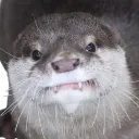 __