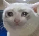 sad