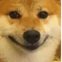 wovtp_doge_ehe wovtp_doge_ehe