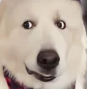 UNTAPsideye UNTAPsideye