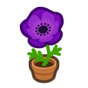 ac_windflower Discord emoji