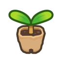 ac_sapling Discord emoji