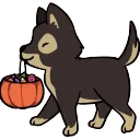 DogTreats