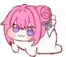 doroplap