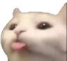 cattongue Discord emoji