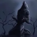 nokittennooooo