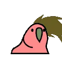 headbanging_parrot