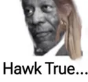 Hawk_True Hawk_True