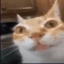 erm