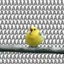 aaaaaaaaaa