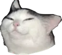 smugcat