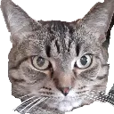 emoji_8