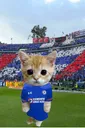 CruzAzulKitty