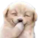 emoji_118