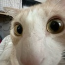 :Erm: