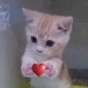 luvu