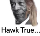 hawktrue hawktrue