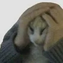 kit
