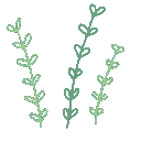 awplants