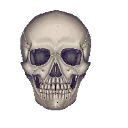 skull_emoji