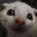 staresatyouwithmyautismeyes staresatyouwithmyautismeyes