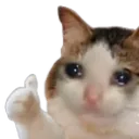 cat_sad