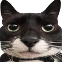 blackberrystare