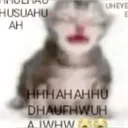 nodigasesopapu
