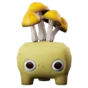 sunnypod