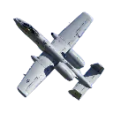 warthog warthog