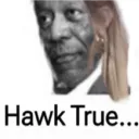 hawktrue hawktrue