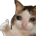 CatThumbsUp