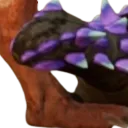 our